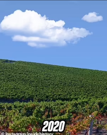 Це фото бачив кожен - і тепер люди в шоці: як зараз виглядає легендарний пагорб із Windows XP